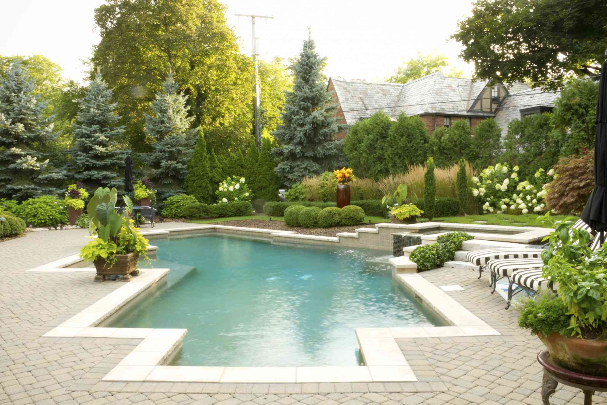 Spring Landscaping For Your Swimming Pool 
