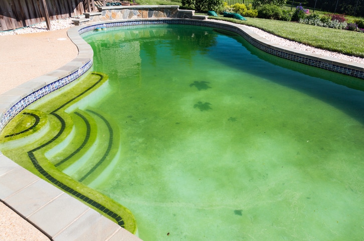 How To Prevent Algae Growth In Your Swimming Pool 
