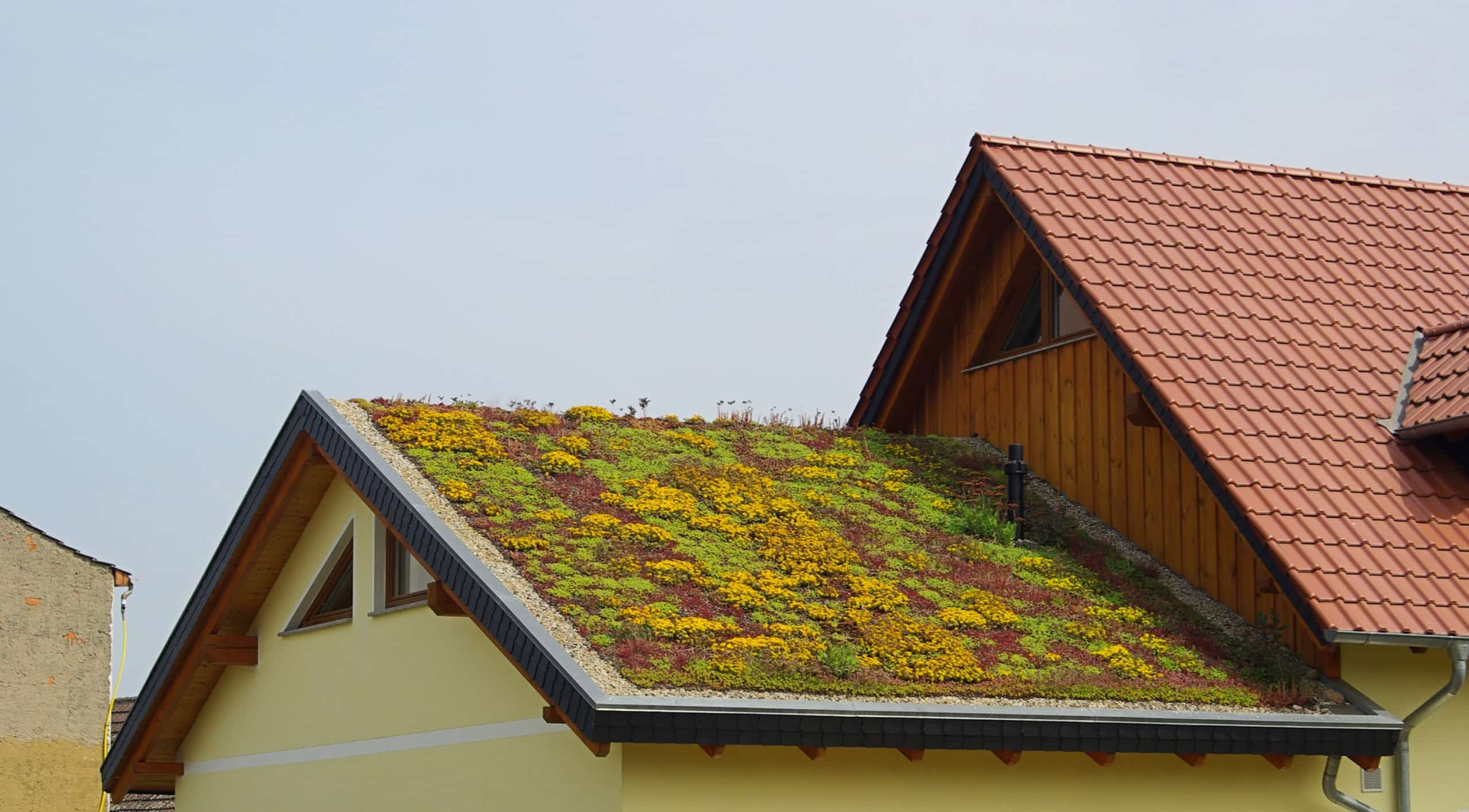 Eco-Friendly Roof for Contracting Business