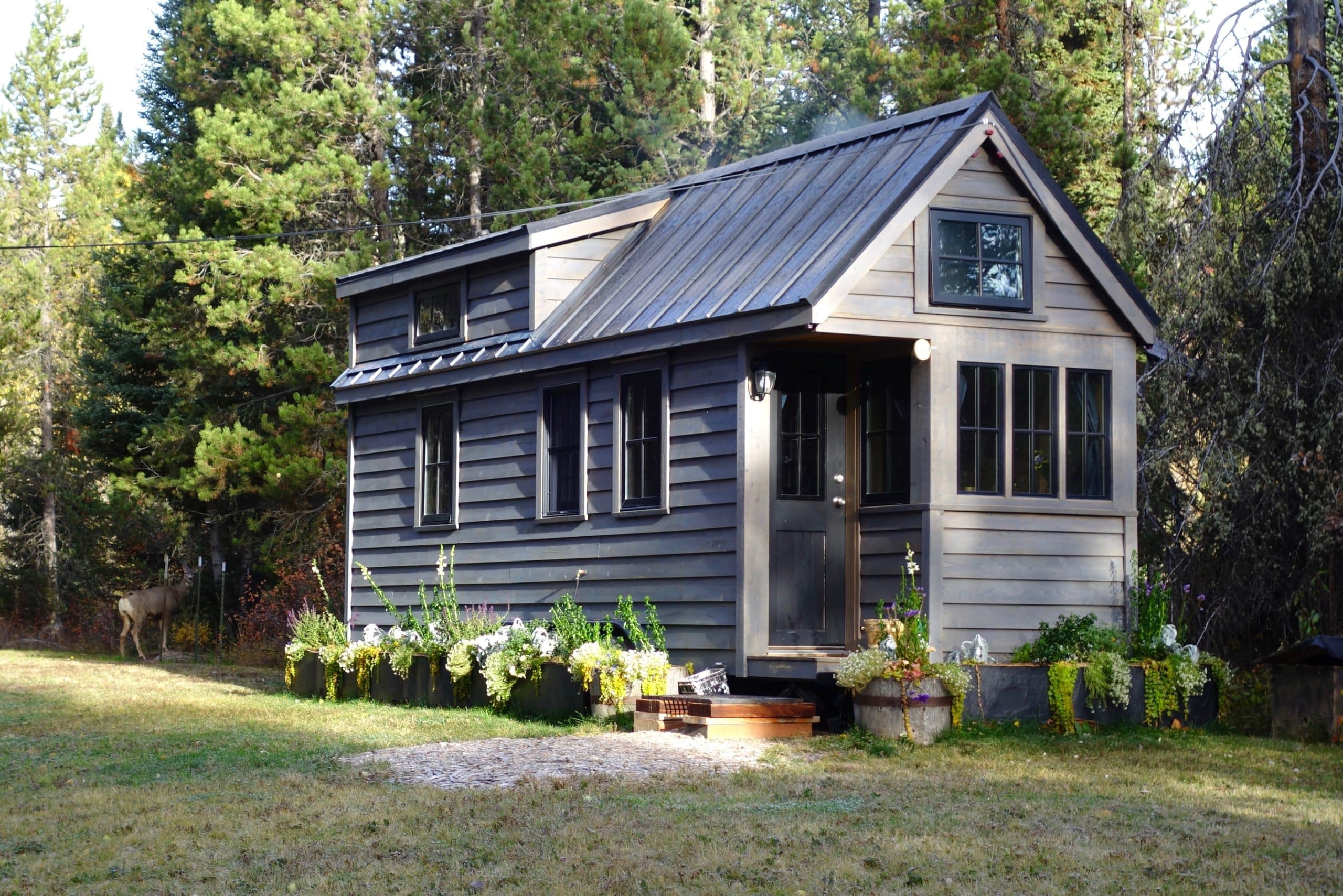 A tiny home built with contractor financing has grey siding and many windows. It sits nestled at the edge of wooded land.